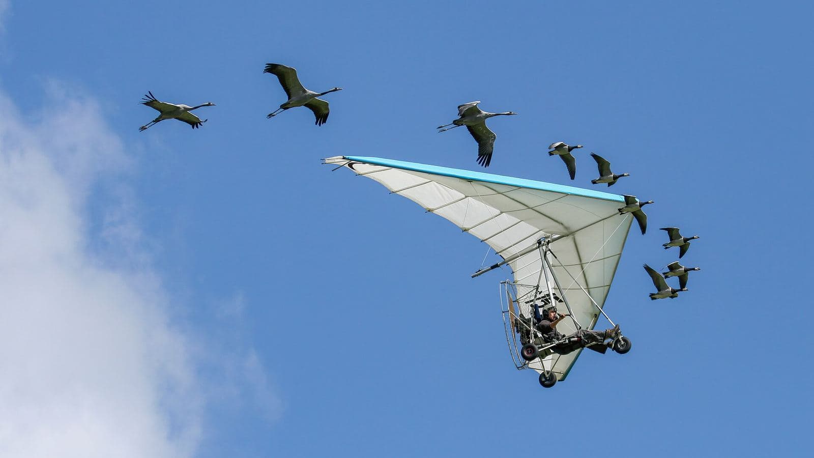 Ultralight Flying