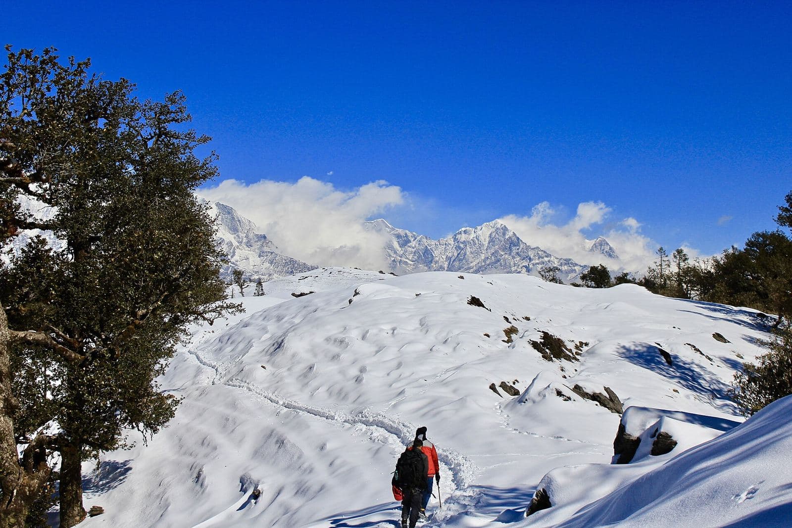 Treks & Adventure