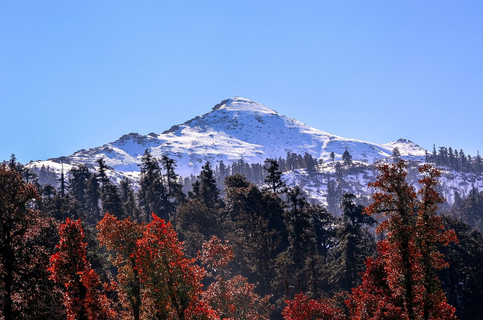 Kedarkantha