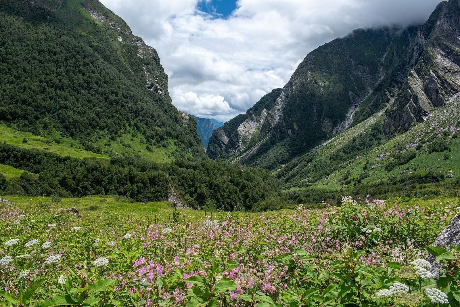 Valley of Flowers & Hemkund Sahib
